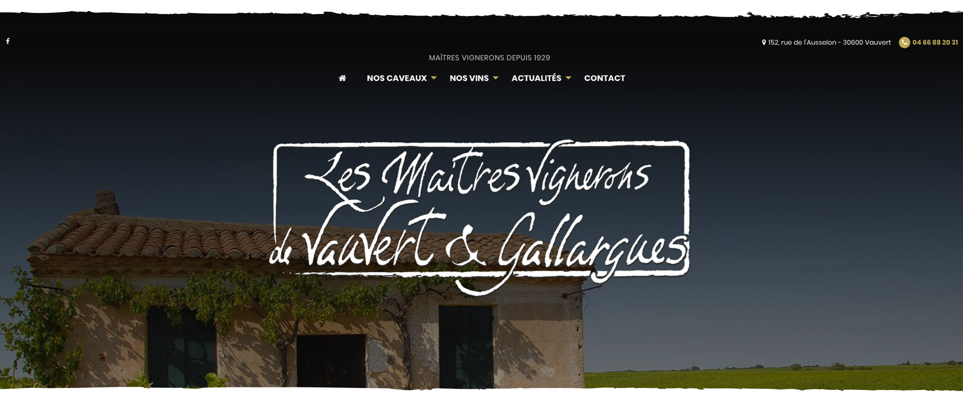 Site Internet les maitres vignerons