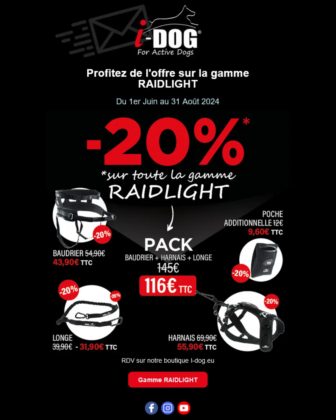 Création de newsletter
