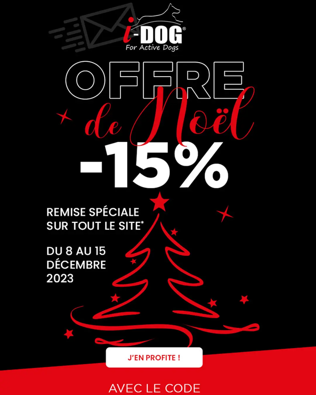 Création de newsletter