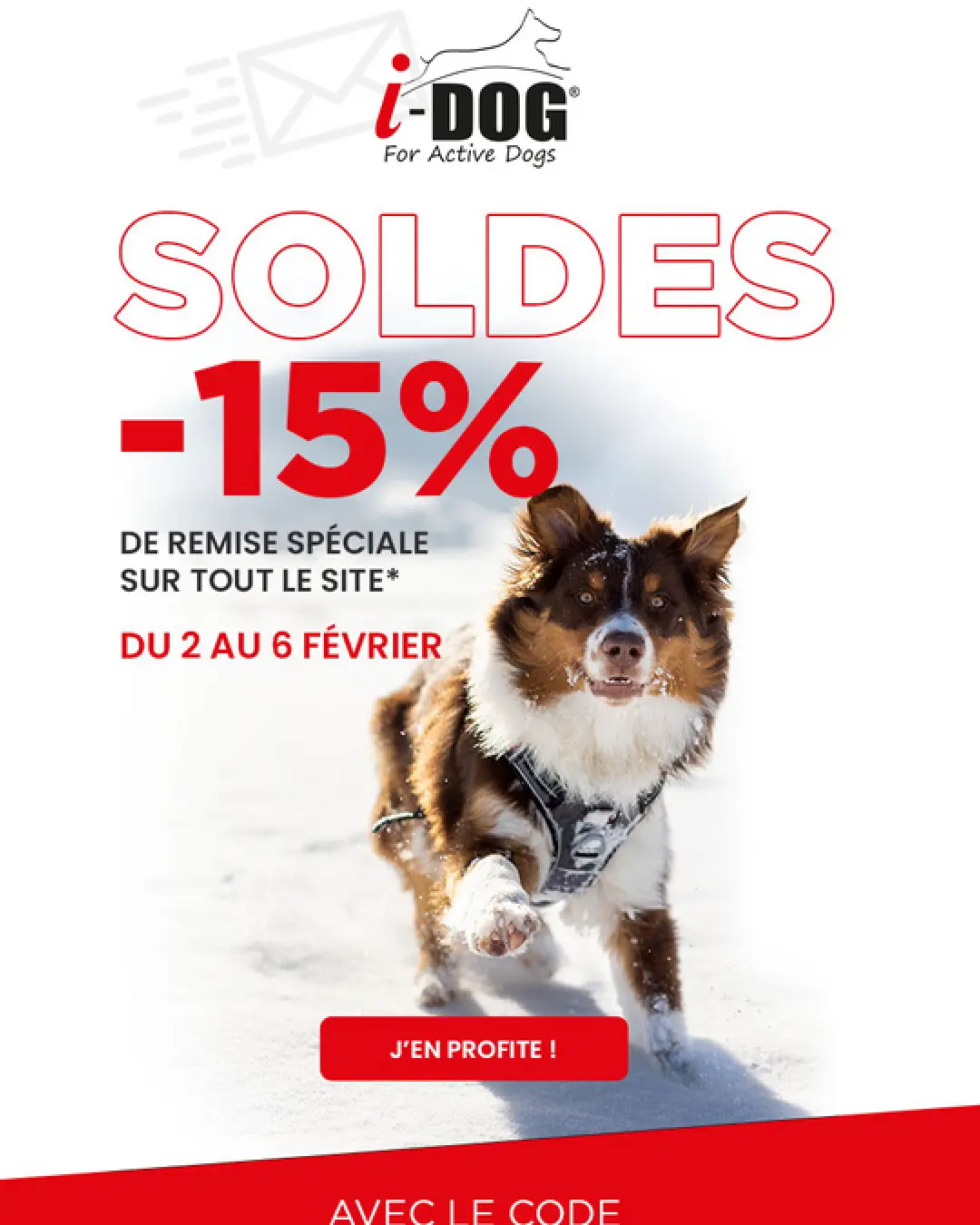 Création de newsletter