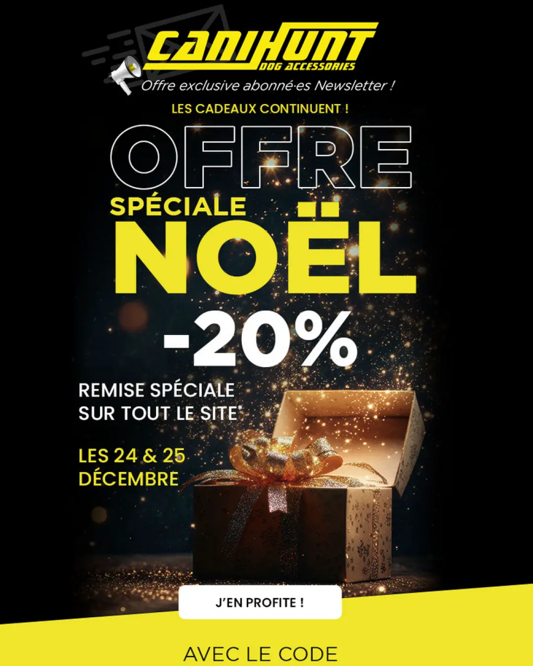 Création de newsletter